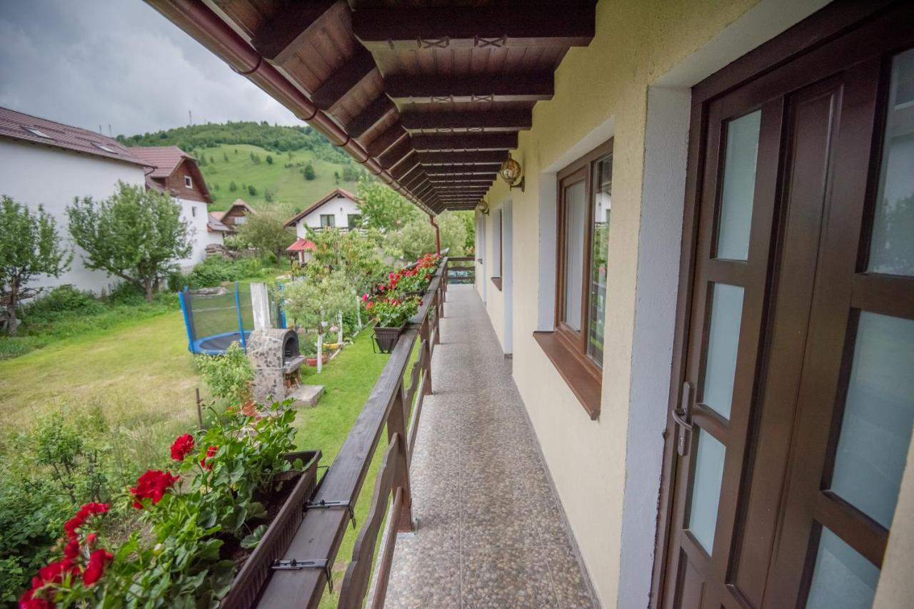 Vila Chic M Hotel Moieciu de Jos Exterior photo